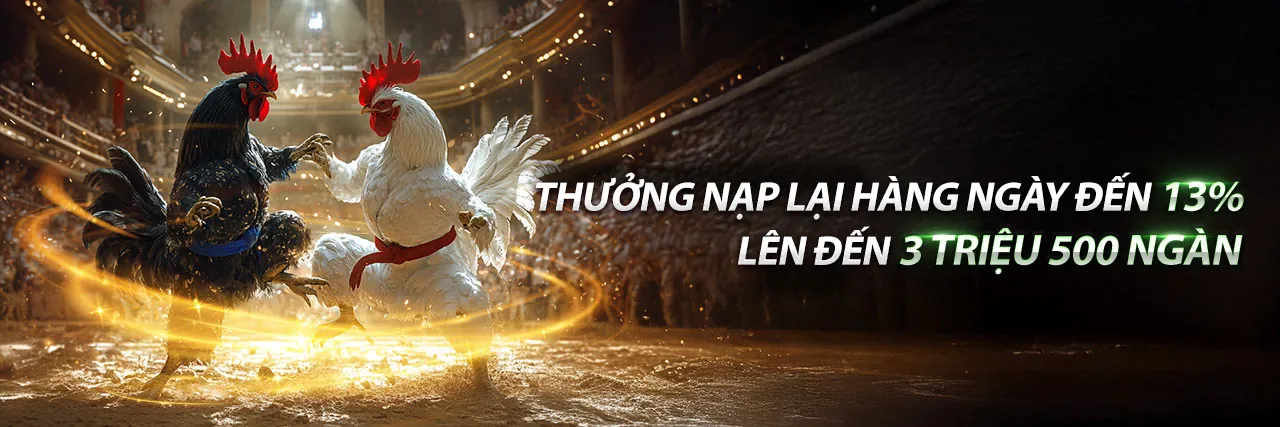 Tổng quan tài nguyên May88 Việt Nam