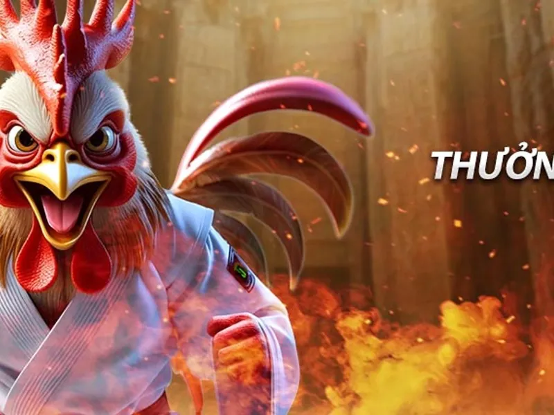 Đăng ký May88 và nhận tiền thưởng độc quyền